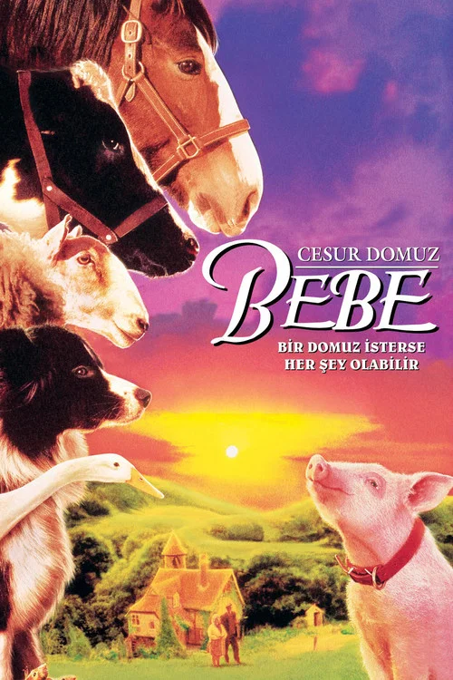Bebe
