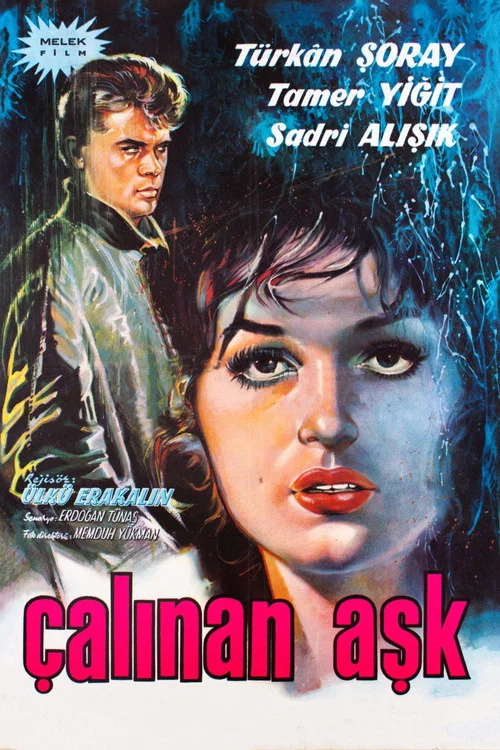 Çalınan
