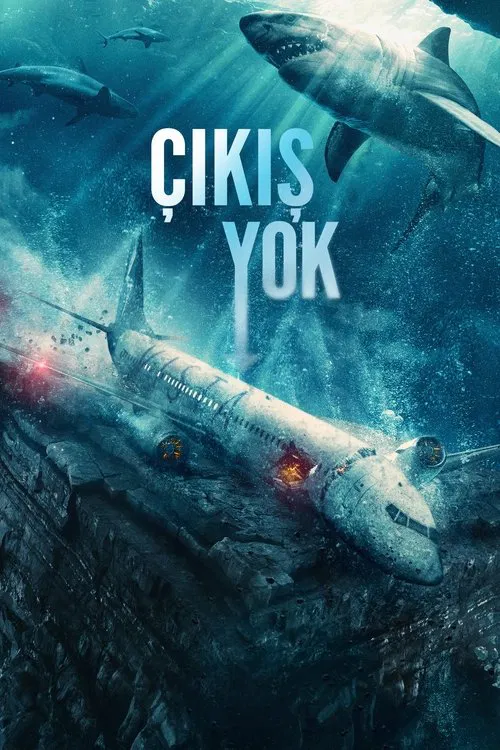 Çıkış yok