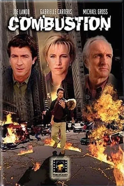 Combustión