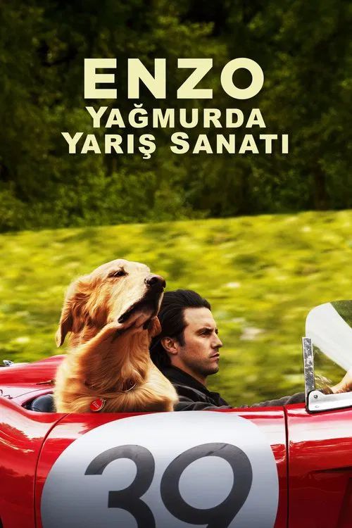 Enzo: Yagmurda Yaris Sanati