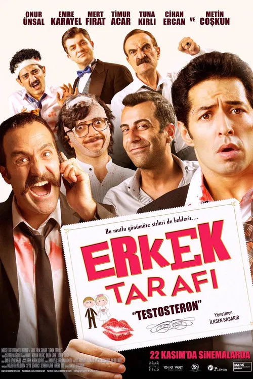 Erkek tarafı testosteron