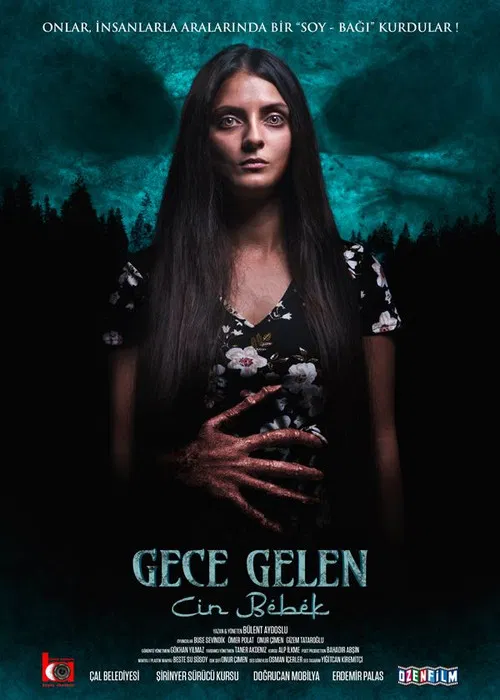 Gece Gelen