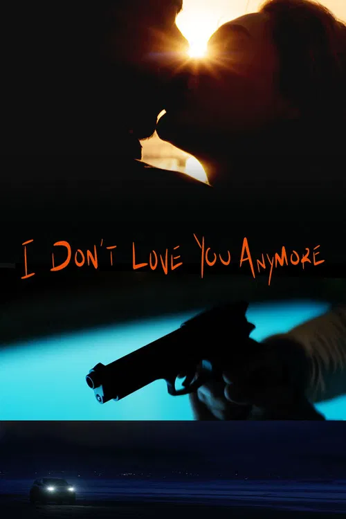 I Dont Love You Anymore
