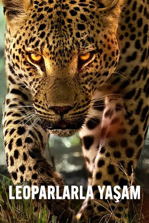 Living with Leopards