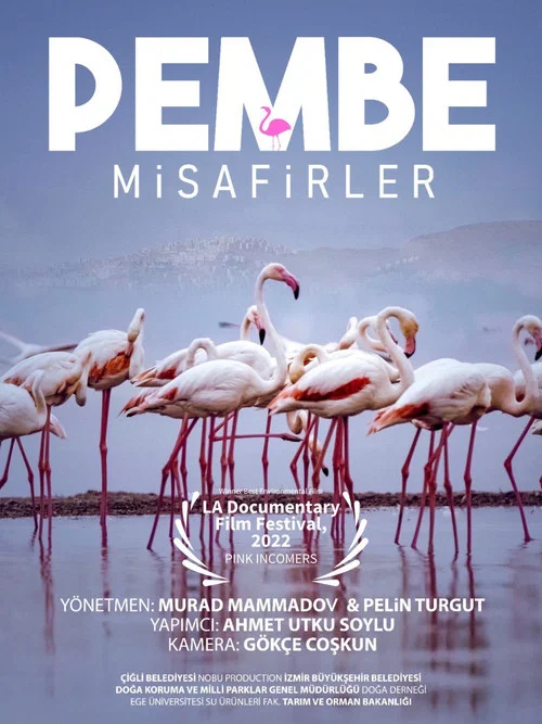 Misafirler