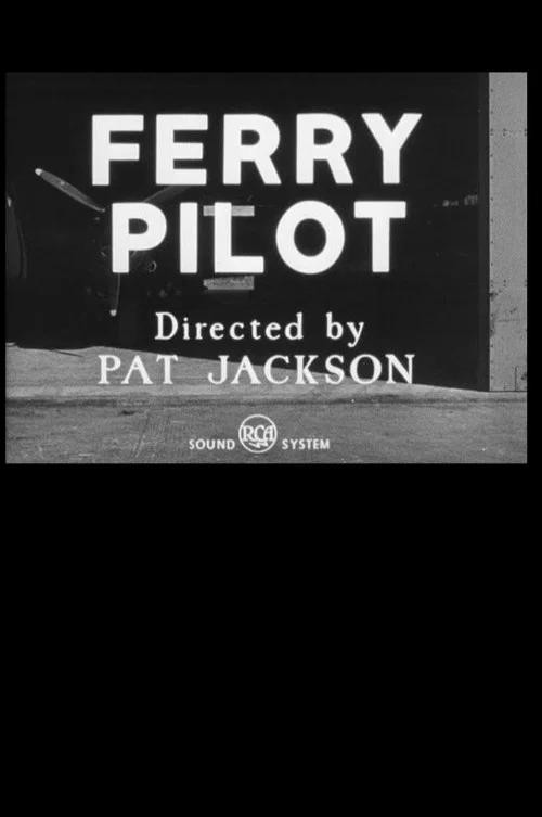 Pilot