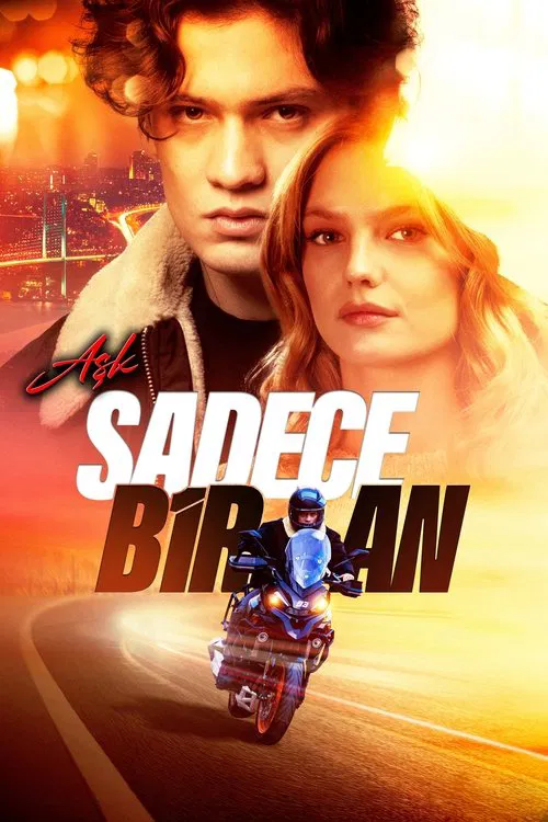 Sadece aşk