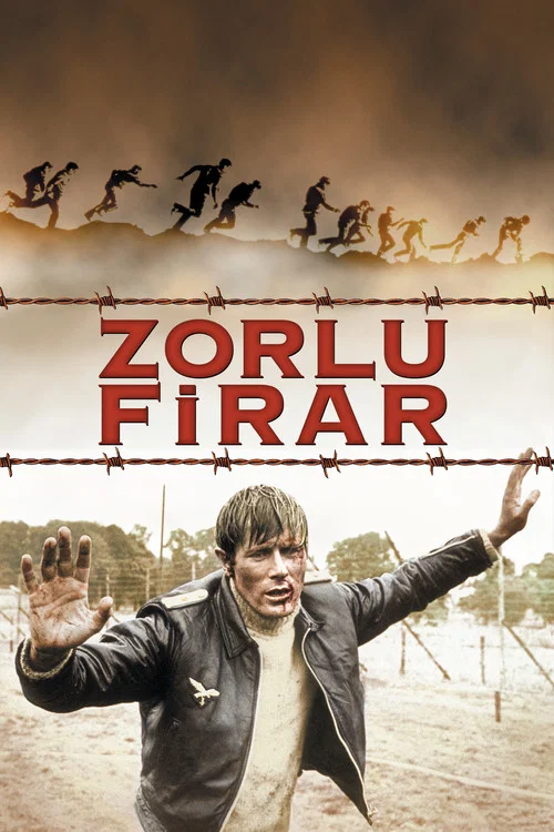 Zorlu Ev